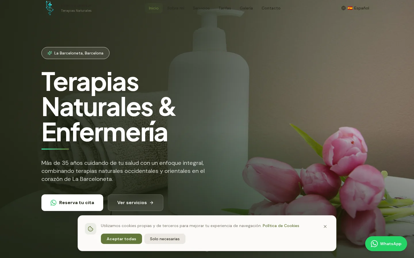 Diseño web profesional La Consulta por AdsVentas — ejemplo de Consultoría